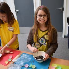 Girlguiding Norfolk Brownies